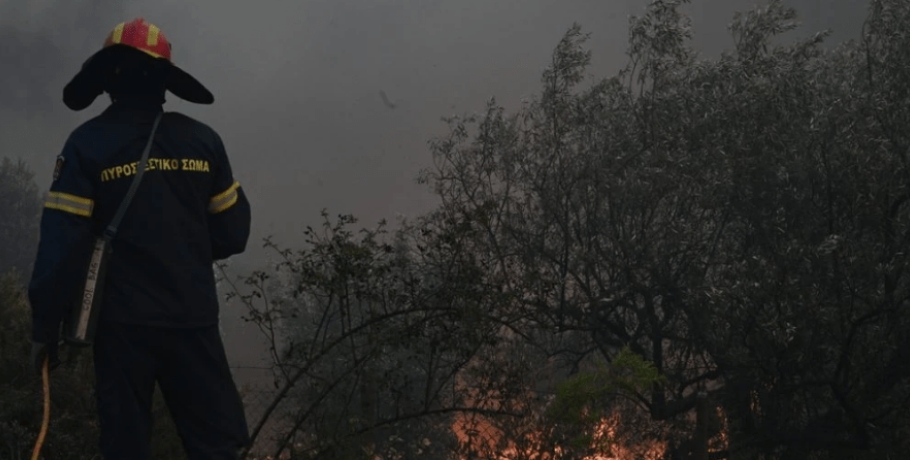 Φωτιές / 31 αγροτοδασικές πυρκαγιές το τελευταίο 24ωρο σε όλη τη χώρα