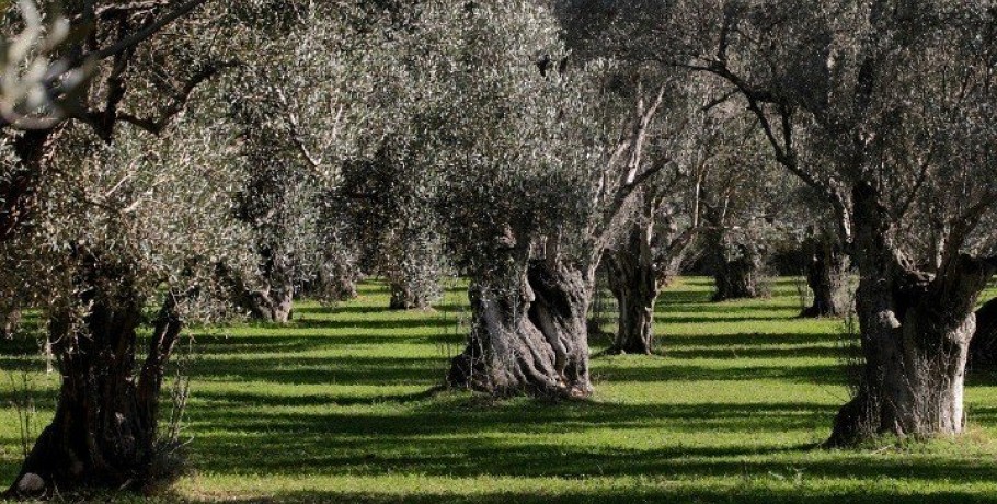 Απάντηση στις προκλήσεις που γεννά ο υπερτουρισμός στο βόρειο μέτωπο της Κρήτης δίνουν οι εναλλακτικές μορφές τουρισμού