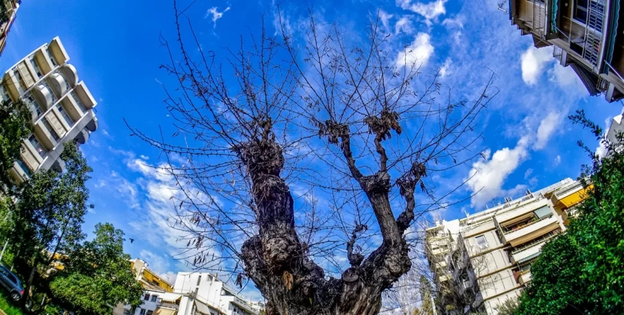 Με τι καιρό θα κάνει ποδαρικό ο Νοέμβριος