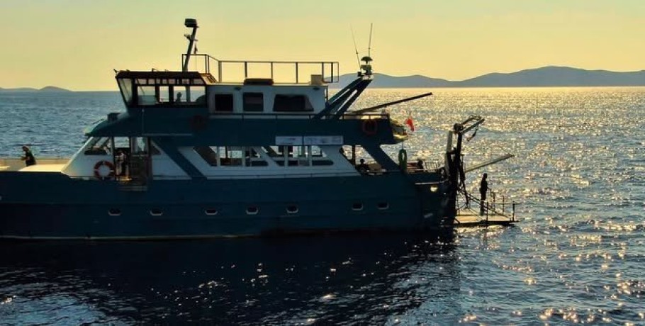 Ινστιτούτο Θαλάσσιας Προστασίας Αρχιπέλαγος- Υπό Δημιουργία Κέντρο Περίθαλψης & Καταφύγιο Θαλάσσιων Ειδών στο Αιγαίο