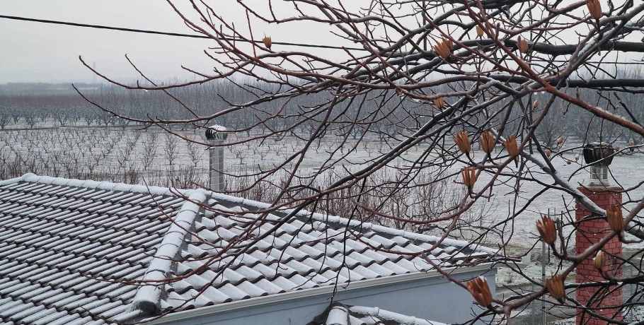 Πυκνό Χιόνι στη Σκύδρα: Ο Χειμώνας στην Καρδιά του