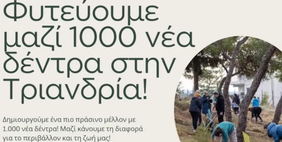 Θεσσαλονίκη-Δήμος Τριανδρίας: Φυτεύουν 1.000 νέα δέντρα