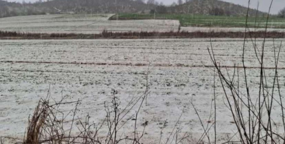 Σφοδρή χαλαζόπτωση στον Αρχάγγελο – Προβλήματα στην κυκλοφορία