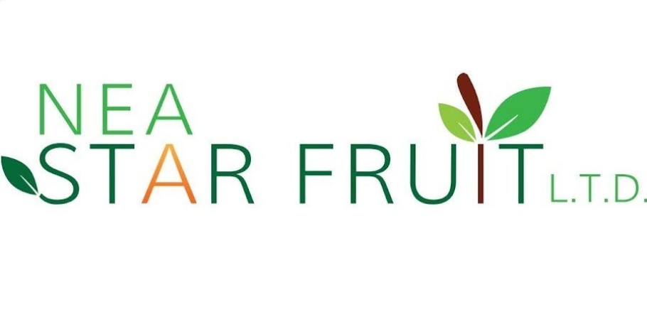 Η εταιρεία NEA STAR FRUIT ΕΠΕ αναζητά: