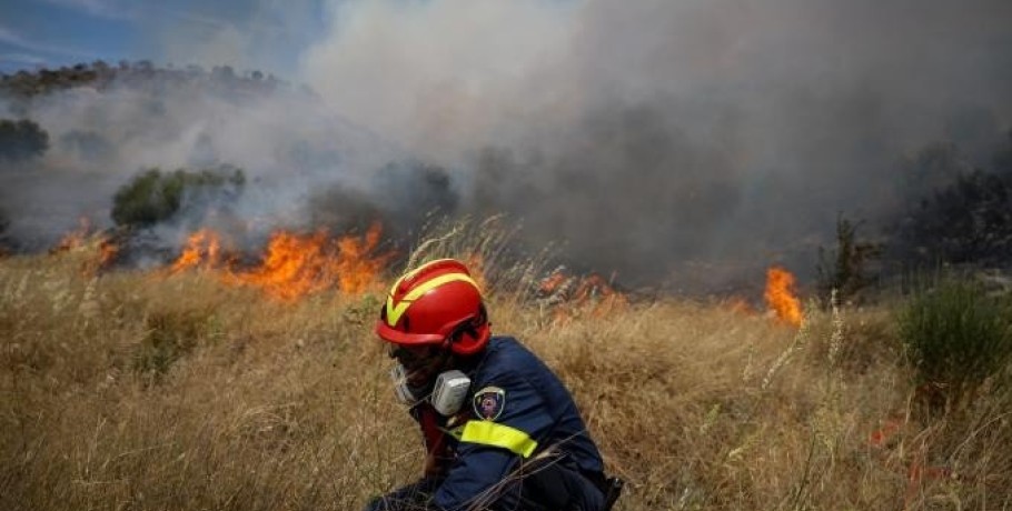 Απαγόρευση κυκλοφορίας στο Δάσος-Πάρκο Έδεσσας του Δήμου Έδεσσας και στο Δάσος Ελευθεροχωρίου Δήμου Πέλλας της ΠΕ Πέλλας, την Τετάρτη 14-8-2024