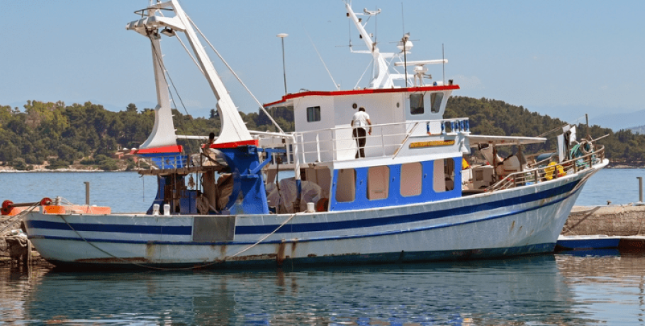 Αλιεία: Πρόσκληση για υποβολή αιτήσεων για οικονομική ενίσχυση για κατάργηση του γρίπου σε βιντζότρατες