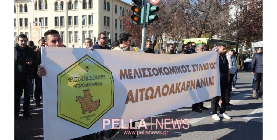 Μελισσοκόμοι: Διεκδικούμε την επιβίωση μας