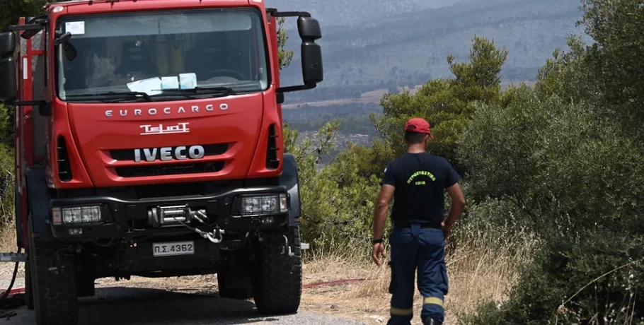 Φωτιά στη Σίβηρη Χαλκιδικής - Επιχειρούν και εναέρια μέσα