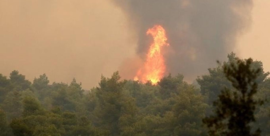 Φωτιά τώρα στις Σέρρες - Επιχειρούν επίγειες και εναέριες δυνάμεις