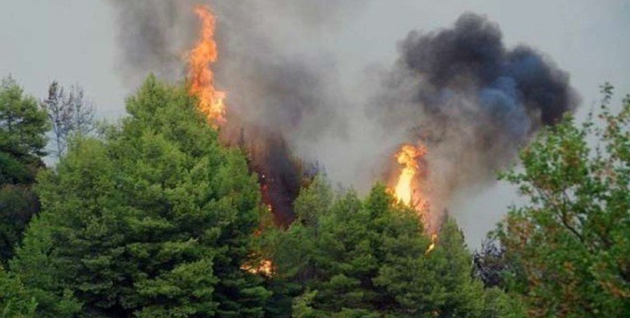 Συνεχίζεται η μάχη με τις φλόγες στην Ηλεία - Σε ύφεση οι πυρκαγιές σε Μεγαλόπολη και Κρανίδι