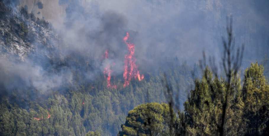 Φωτιά τώρα στην Πέλλα: Επιχειρούν 45 πυροσβέστες και τρία αεροσκάφη