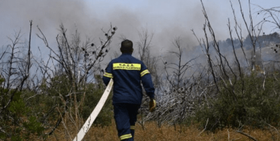 Σέρρες: Υπό μερικό έλεγχο η πυρκαγιά στη Νιγρίτα